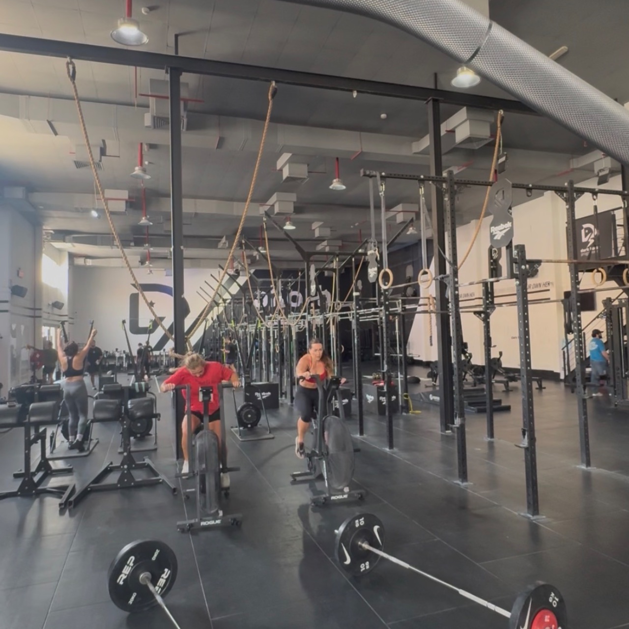 Fitness